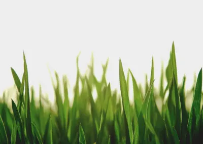 Content strategy foundations for Brooke