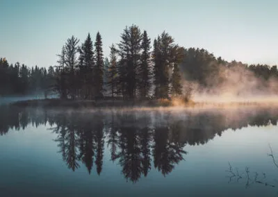 Greenpeace voice, tone and style