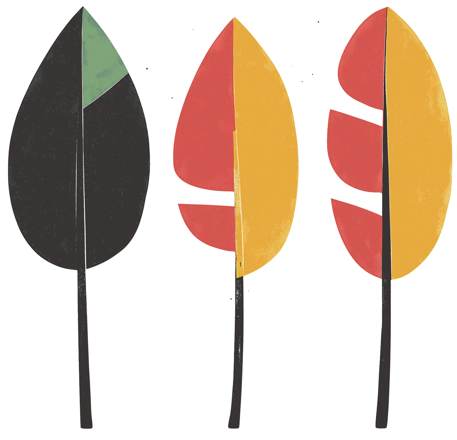 Content transformation, not digital transformation